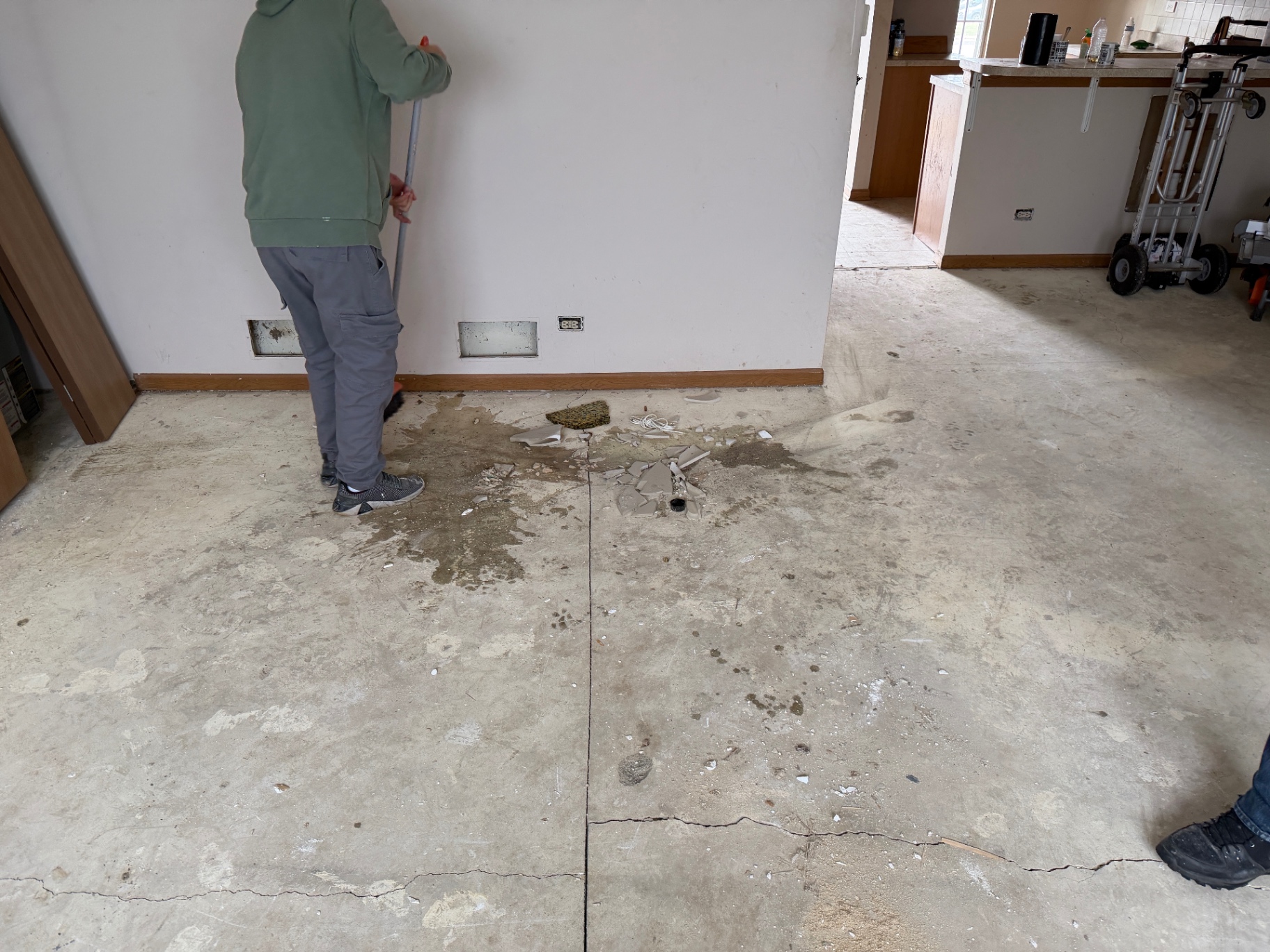 Basement Demo Cleanout after
